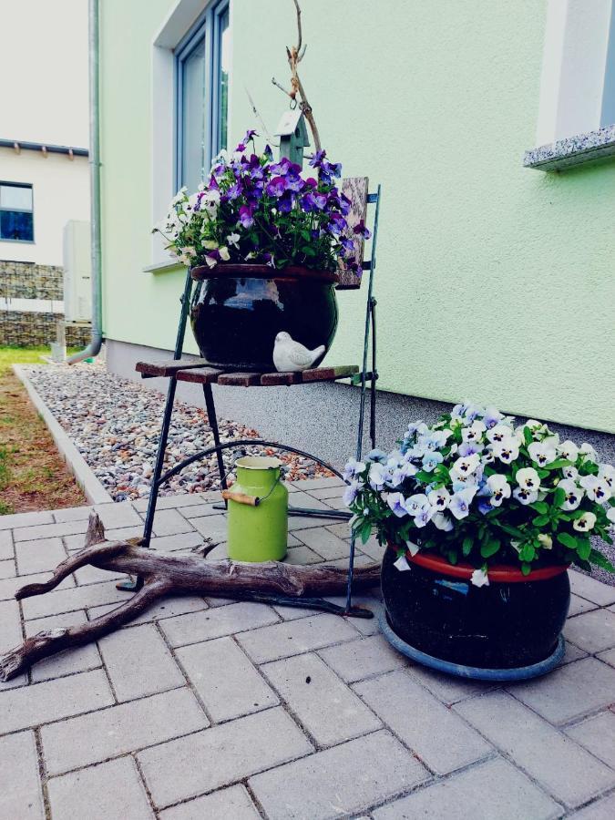 Ferienwohnung Ab Zum Haff Ueckermünde Exterior foto