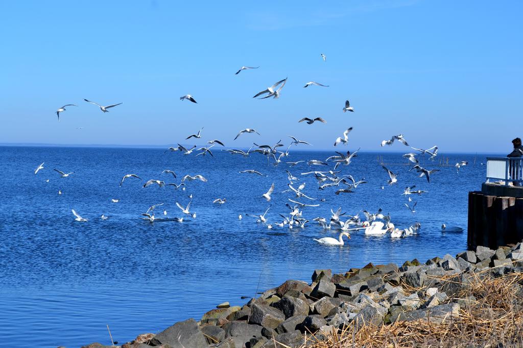 Ferienwohnung Ab Zum Haff Ueckermünde Cameră foto